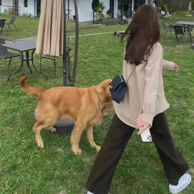 追回24小时