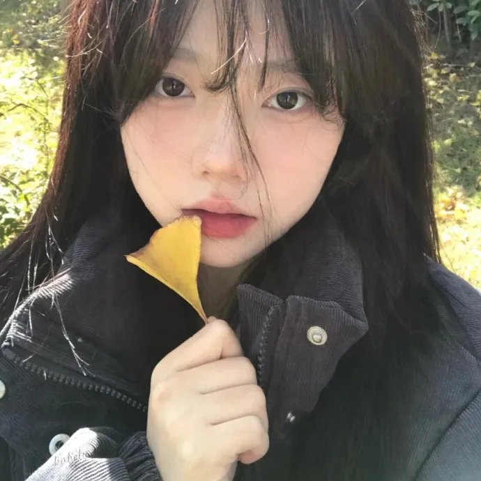 精选剧集